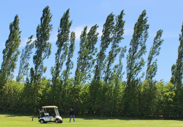 Quamby Estate image 2